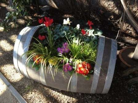 Nyt - et blomsterbed lavet af en trætønde. Hvorfor tror du, at man på tønder kun kan sylte agurker eller opbevare vin