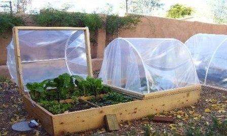 Μοναδικά κουτιά θερμοκηπίου θα προσθέσουν μια πινελιά πρωτοτυπίας στον κήπο σας.