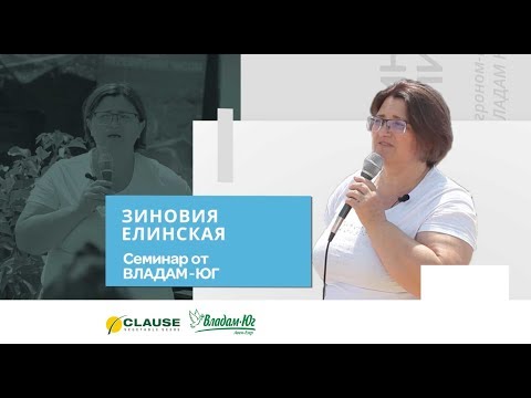 كيفية علاج الفيوزاريوم ، وحماية النقطيات من الفطريات البكتيرية (تنصح Agroexpert Zinovia Elinskaya)