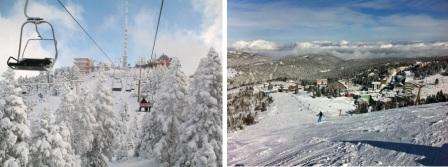 Tí, ktorí si chcú užiť aktívnu zimnú dovolenku v januári, by mali upriamiť svoju pozornosť na Uludag a Palandoken - lyžiarske strediská v Turecku. Rakúsko, Francúzsko, Taliansko, Bulharsko ponúka podobný typ dovolenky aj v januári.