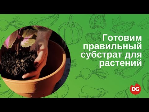 # 7 Πώς να προετοιμάσετε το κατάλληλο υπόστρωμα για τα φυτά