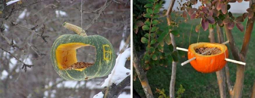 Alkuperäisin syöttölaite on kurpitsan syöttölaite. Hän voi olla 