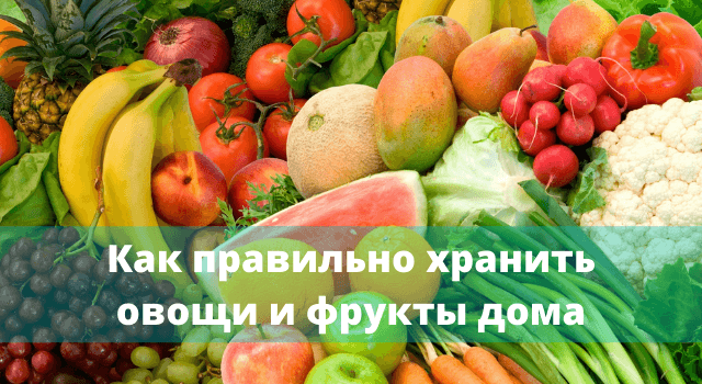 Sådan opbevares grøntsager og frugter korrekt derhjemme: tricks fra svoimi-rukamy.com