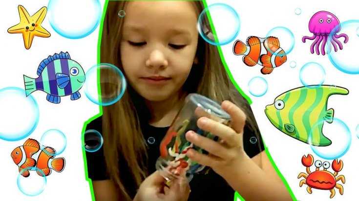 كيف يمكنك صنع حوض أسماك من مواد مختلفة: فصول رئيسية ، أمثلة للصور ، تعليمات فيديو