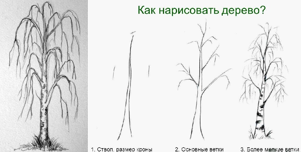 fotka kresby brezovou zimnou ceruzkou 1