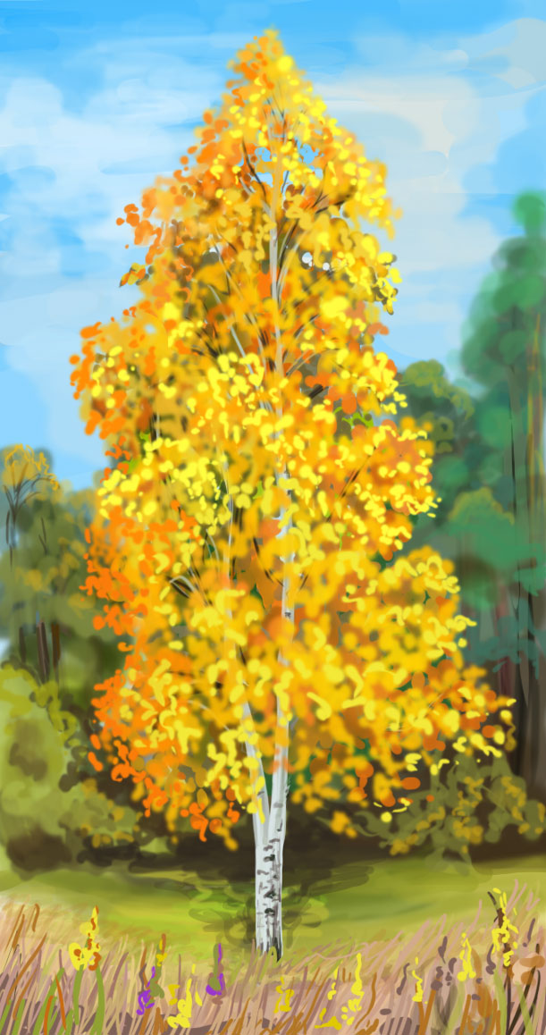 blyantstegning af birk i efteråret, foto 1