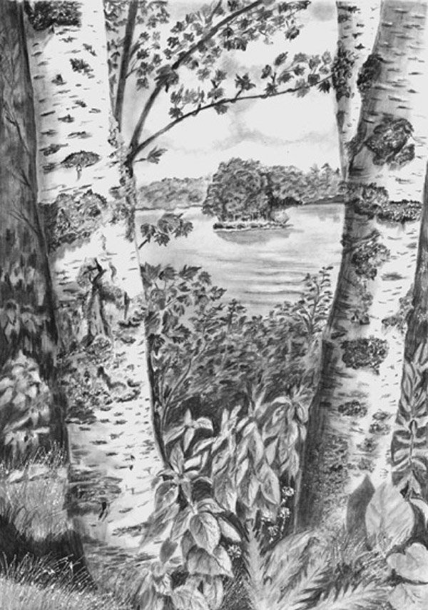krásne kresby brezy v ceruzke, nápady na fotografie 1