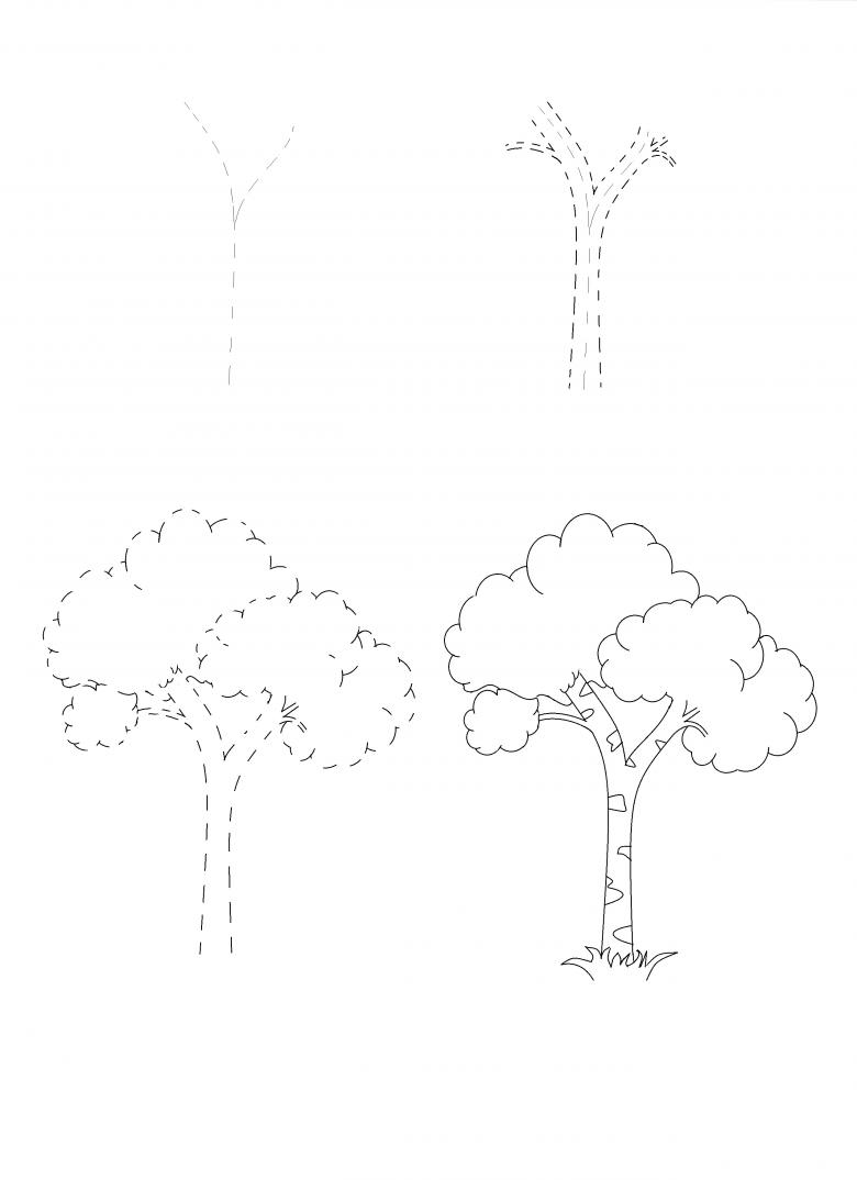 Ako nakresliť brezu po etapách - ľahké majstrovské kurzy kreslenia brezy