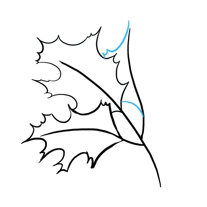 Ako nakresliť javorový list postupne: príklady fluo, video