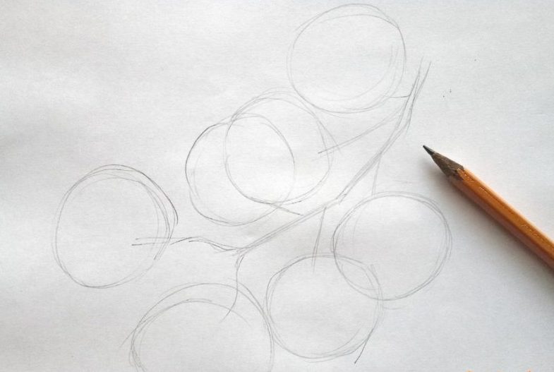Kuinka piirtää vaahteranlehti vaiheittain: fluoesimerkkejä, video