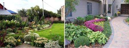 Designet af en blomsterhave er ikke kun begrænset til det sædvanlige valg af den nødvendige vegetation, men omfatter også bestemmelse af så vigtige nuancer som plantetidenes plantetid, buskens diameter, deres højde