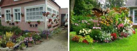 Designere, der tager hensyn til den generelle stil på haveplottet, tilbyder flere måder at dekorere blomsterbed på. For eksempel almindelig eller landskabspollen