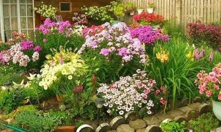 Sådan arrangeres en blomsterhave foran huset, foto