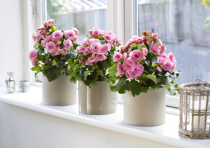 En planter er en dekorativ beholder uden drænhuller, hvor du kan placere den mest almindelige plantekrukke.