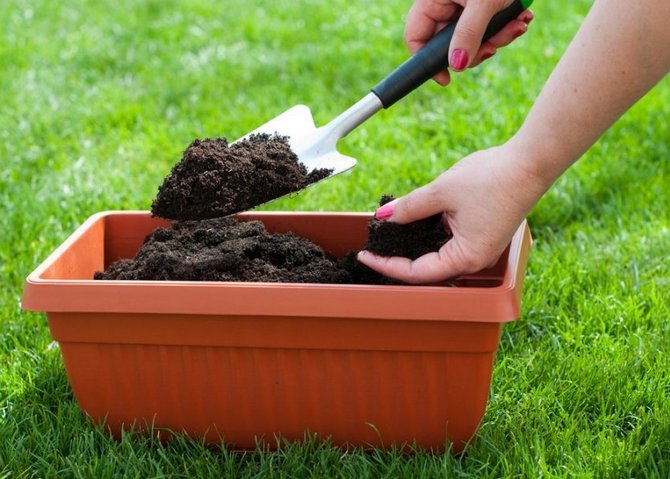 Ako si vyrobiť kompost doma