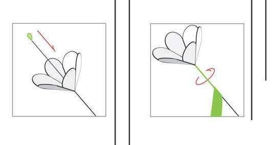 Βεβαιωθείτε ότι το σύρμα έχει εισαχθεί ακριβώς στο κέντρο του λουλουδιού