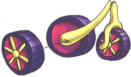 Plasticinecykel - mesterklasse, foto 4