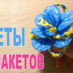 كيفية صنع الزهور والحرف اليدوية من الزهور: أسهل دروس الماجستير وتعليمات الفيديو