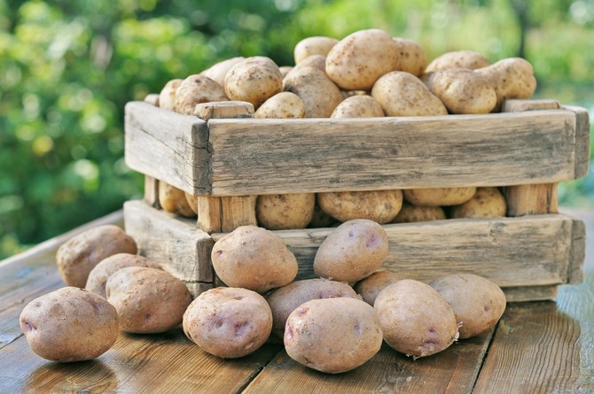 Sådan opbevares kartofler i en lejlighed