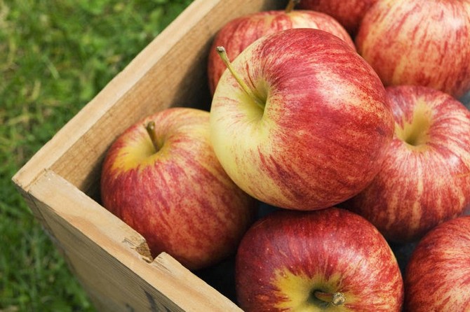 Ako uchovávať jablká v byte