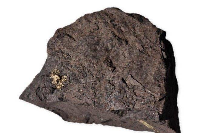 كيفية إشعال الموقد بالفحم: خطوات خطوة بخطوة ونصائح لإشعال النار