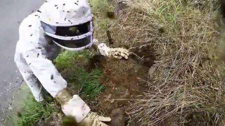 Nogle gange vises der bier i landet. Husk, at disse insekter uden tilsyneladende årsag angriber en person, men deres nabolag kan være ubehageligt. Du kan slippe af med bier ved at dræbe dem eller prøve at flytte dem til et andet sted. En af de mest effektive måder at flytte bier på er røgning med røg.