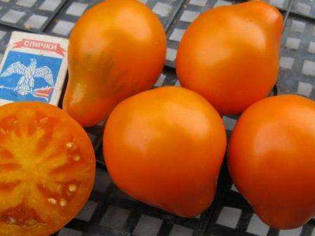 Når man dyrker denne række tomater, skal der kun være to stilke tilbage. Der bør være omkring 6 klynger tilbage på hver stilk, som vil bære frugt, og hver vil give omkring 6 frugter. På det åbne felt strækker busken sig i højden