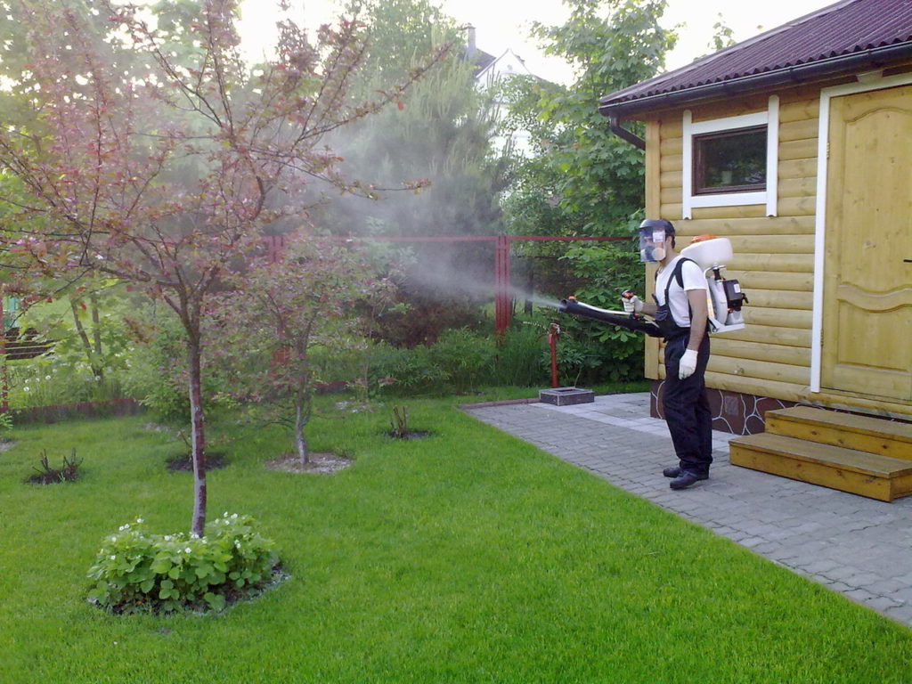 kun keväällä sinun on ruiskutettava puutarha tuholaisista