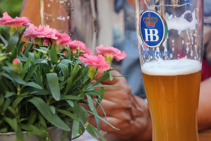 Είναι δυνατόν να ποτίζετε λουλούδια με μπύρα
