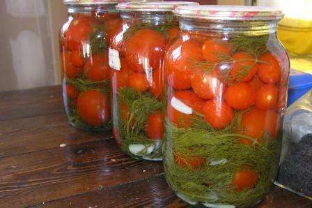 Konzervácia paradajok. Recepty. Foto a video
