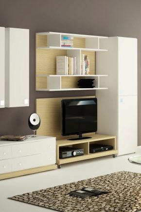 Корпусни мебели за хола: красиви опции в интериора