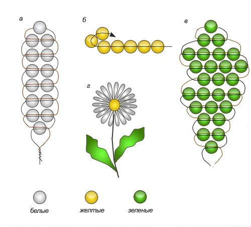 perleblomster