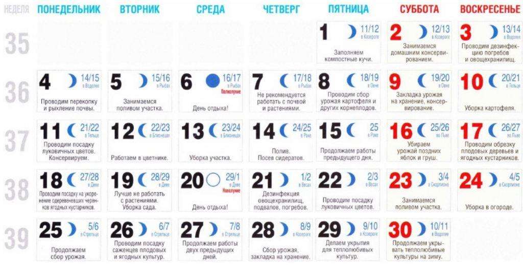 Nech máte dobrú úrodu vo svojej dači v roku 2023. Rastliny môžete pestovať iba vlastnými rukami.