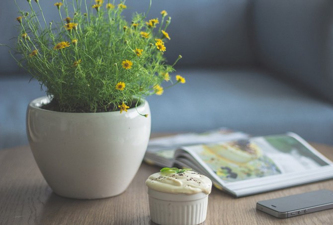 Månekalender for indendørs planter og blomster i juni