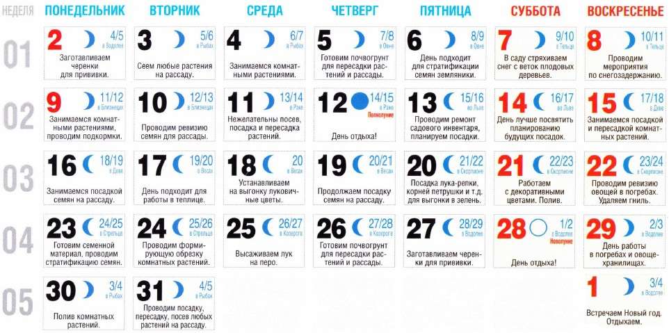 Εάν το φεγγάρι μειωθεί, τότε το ριζικό σύστημα αναπτύσσεται ενεργά στο φυτό. Συνιστάται η φύτευση ριζικών καλλιεργειών στο φεγγάρι που φθίνει. Εάν δεν έχετε ημερολόγιο σεληνιακής προσγείωσης, τότε μπορείτε απλά να περιηγηθείτε στον ουρανό, παρακολουθώντας το φεγγάρι, h