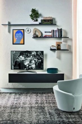 Телевизионни мебели в хола: дизайнерски характеристики