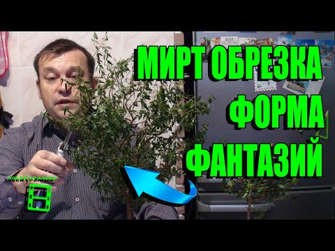 Η ΚΟΠΗ ΜΥΡΟΥ ΣΤΟ ΣΠΙΤΙ ΕΙΝΑΙ ΕΥΚΟΛΗ. ΔΙΑΜΟΡΦΩΣΗ ΜΙΤΟΥ. ΕΞΩΤΙΚΟ ΠΑΡΑΘΥΡΟ