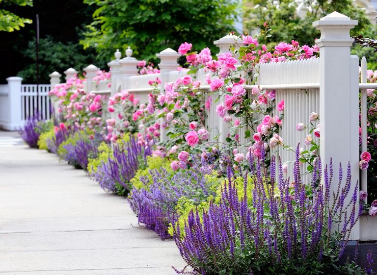 Gør-det-selv blomsterhave langs hegnet, blomsterbed dekoration