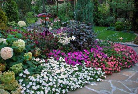 blomsterhave på landet