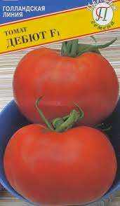 يجب اختيار وقت مناسب لبذر البذور ، مع مراعاة الظروف المناخية لمنطقة الإقامة وتواريخ النضج المبكرة جدًا للطماطم لأول مرة f1. عندما تنمو الشتلات ثلاثة أو أربعة في كل