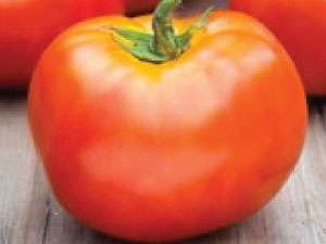 Tomaatin valkoisen täytteen ominaisuuksia on vaikea arvioida vain ulkonäön ja valokuvan perusteella, joten on parasta lukea kuvaus