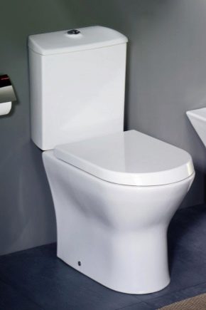 Описание на тоалетните Roca и избор на аксесоари