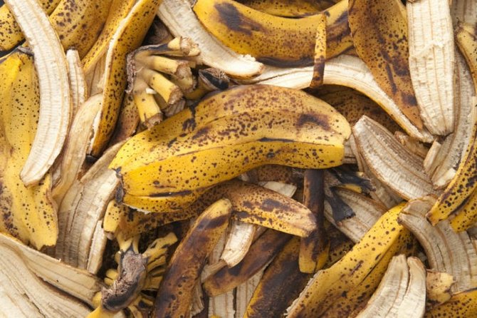 Bananskal som gødning
