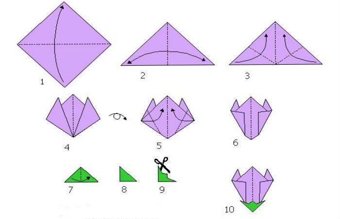 Clematis (montážny diagram)