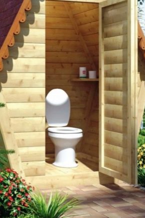 Характеристики и избор на селски тоалетни