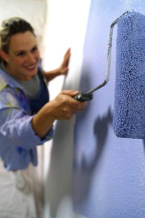 Характеристики на избора на миеща се боя за стени