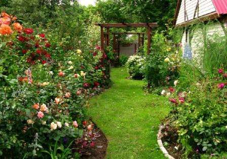 في جميع تركيبات تصميم الحدائق تقريبًا ، يمكنك تضمين النباتات التي ستكون مرافقة للورود.
