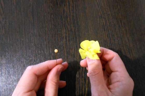 DIY Πασχαλινά δέντρα: Περιγραφή και φωτογραφία DIY Πασχαλινό δέντρο diy Πασχαλινό δέντρο βήμα προς βήμα