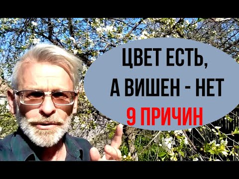 WHY CHERRY δεν αποδίδει καρπούς / 9 λόγοι / Igor Bilevich