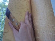 الحرف اليدوية من لحاء البتولا: إرشادات خطوة بخطوة لصنع يديك ومخططات وقوالب وأفكار للحرف الإبداعية